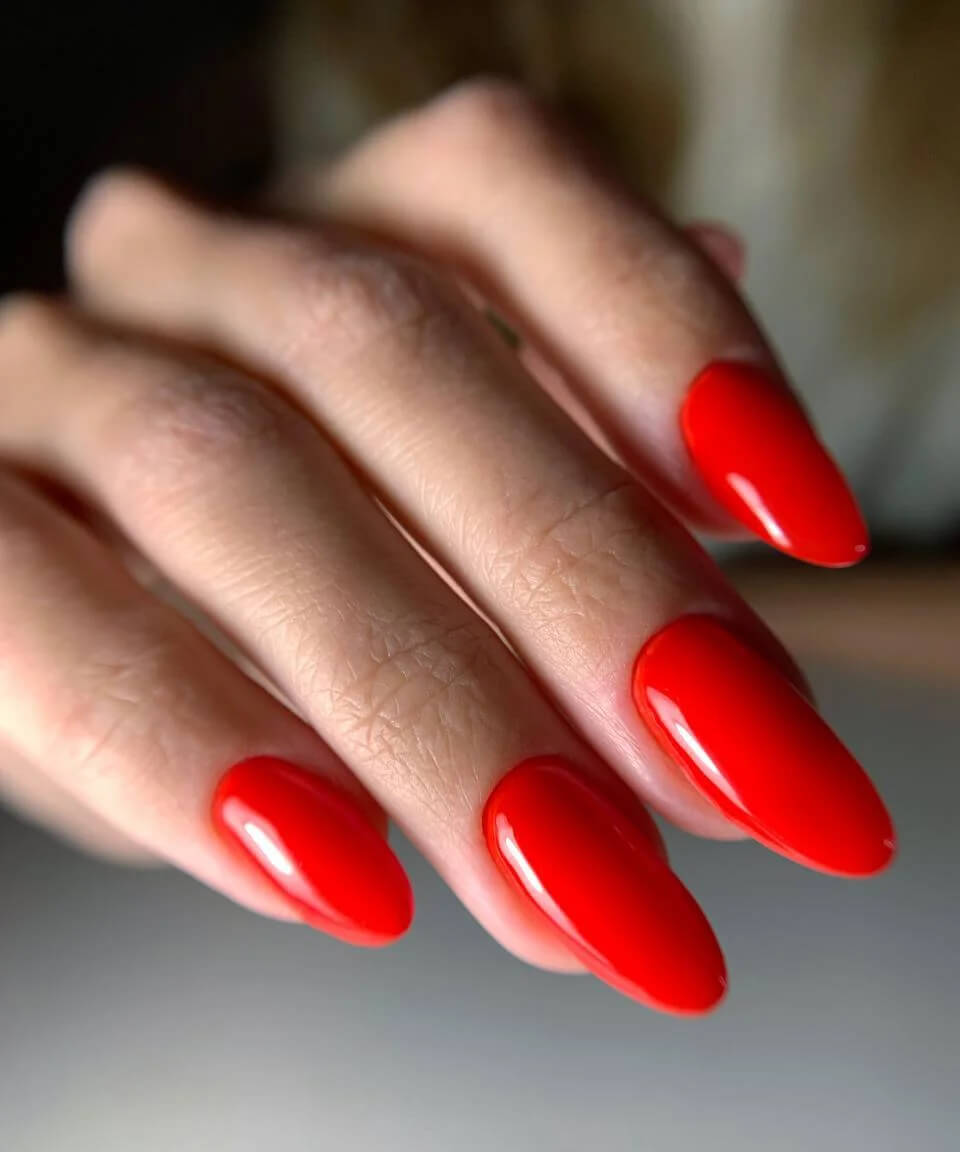 Portfolio Photo 1.10